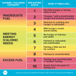 cease monitoring macros and belief your self round meals