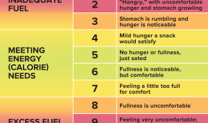 cease monitoring macros and belief your self round meals