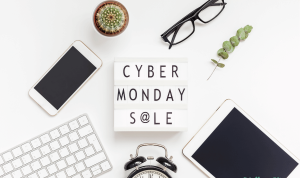Greatest 2024 Cyber Monday Reductions on Pure Merchandise