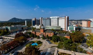 Seoul Nationwide College Hospital builds Korean medical LLM