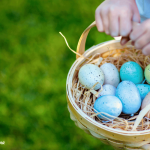 Wholesome Easter Basket Concepts the Entire Household Will Get pleasure from