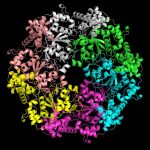Q&A: Microsoft’s breakthrough AI device makes it simpler to check how proteins are constructed