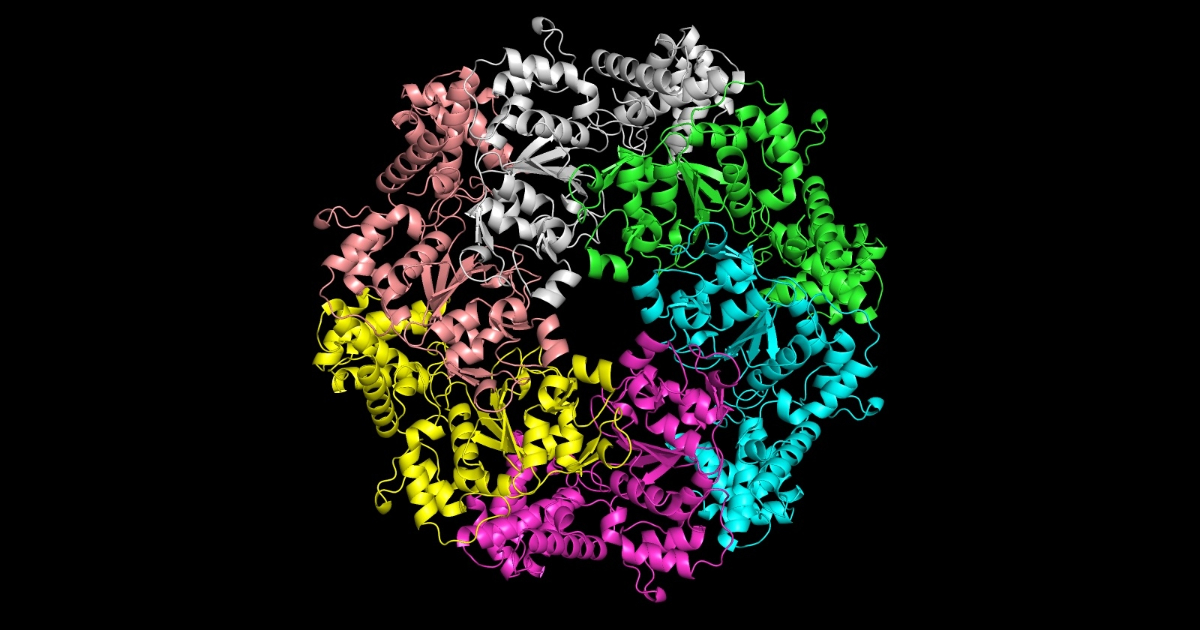 Q&A: Microsoft’s breakthrough AI device makes it simpler to check how proteins are constructed