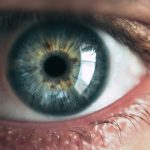 AI-driven ADHD screening utilizing eye photographs developed in Korea