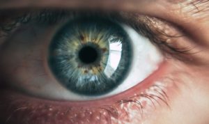 AI-driven ADHD screening utilizing eye photographs developed in Korea