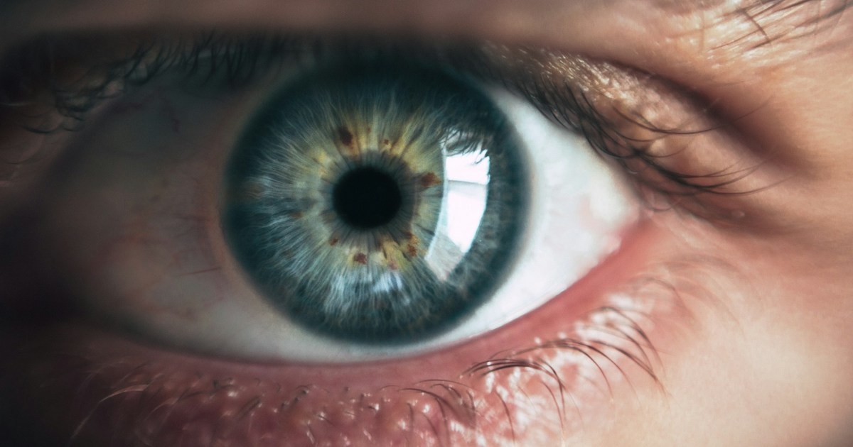 AI-driven ADHD screening utilizing eye photographs developed in Korea
