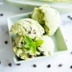 Home made Mint Chocolate Chip Ice Cream Recipe (Dairy Free & Paleo)