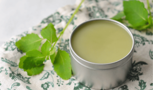 DIY Jewelweed Salve For Poison Ivy (and Extra!)