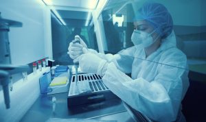 InSilicoTrials turns into a part of Microsoft for Startups Pegasus Program