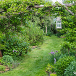 How To Remodel Your Yard Right into a Permaculture Paradise